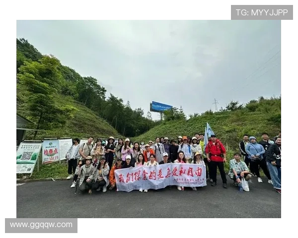 武汉飞盘队的运营揭秘与发展探索深度分析